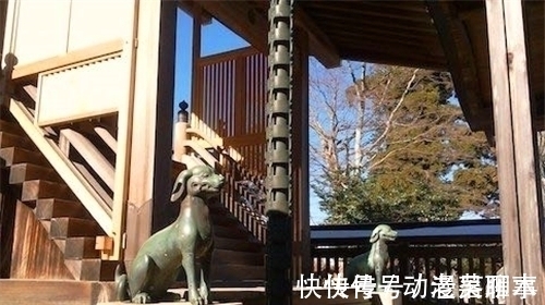 大和|海贼王1020话情报:大和是日本狼,尾田钦定山治为“海贼王双翼”