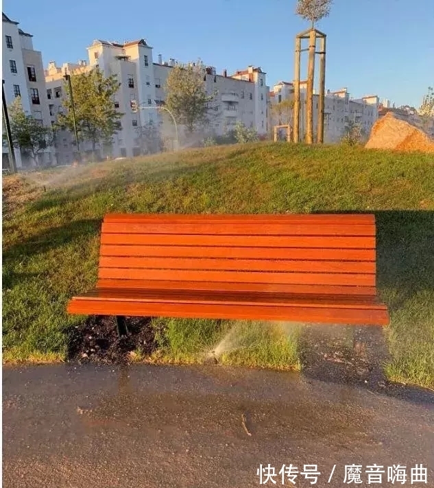 短裤|31个搞怪的奇葩设计,看到第一张图就想报警