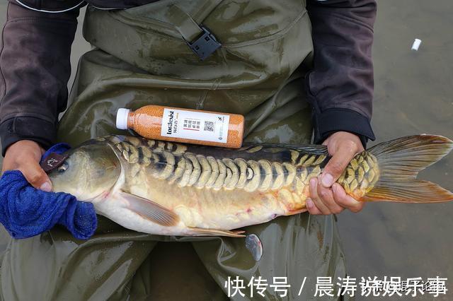 自制|商品玉米饵又贵又难用？我教你自制酒泡玉米粒，不比买来的差