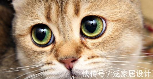 |幽默笑话:闺蜜跟着男朋友回老家,晚上男朋友就对闺蜜说