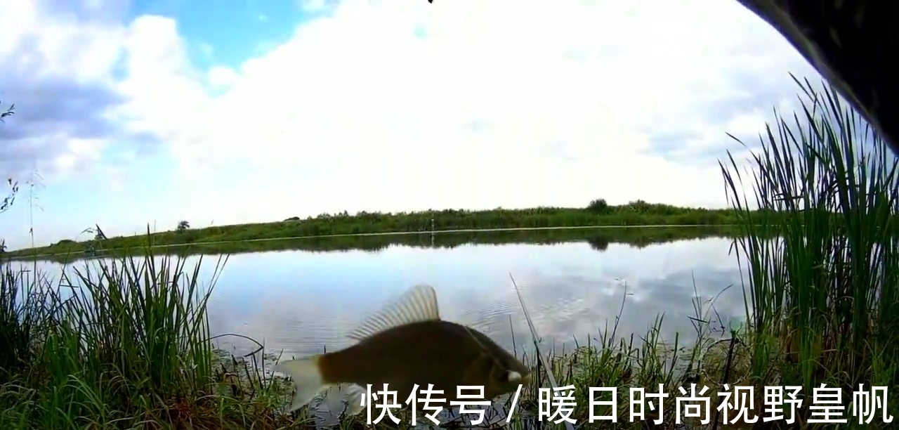 时间段|七月的鱼怎么钓,搞明白这几个问题,连杆是小事,爆护也不是难事