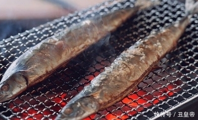 马步鱼和秋刀鱼