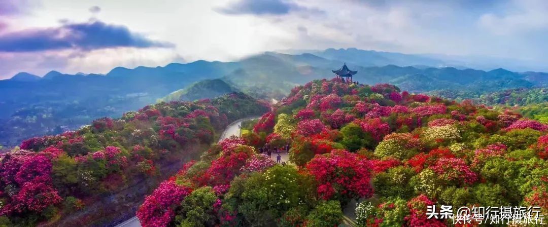 珍藏无数极致美景，最近红遍抖音的小众目的地：贵州