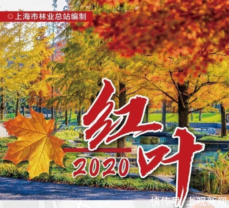 红叶|五彩斑斓！最新版红叶地图来了，一起去看吗？