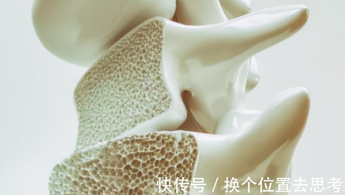 优质蛋白|更年期以及老年骨质疏松人群，该如何设计高钙饮食？今天告诉您