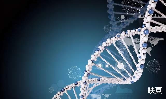 女子自称孙悟空后人,拿猴毛、灵石去复旦检验以证身份,结果如何
