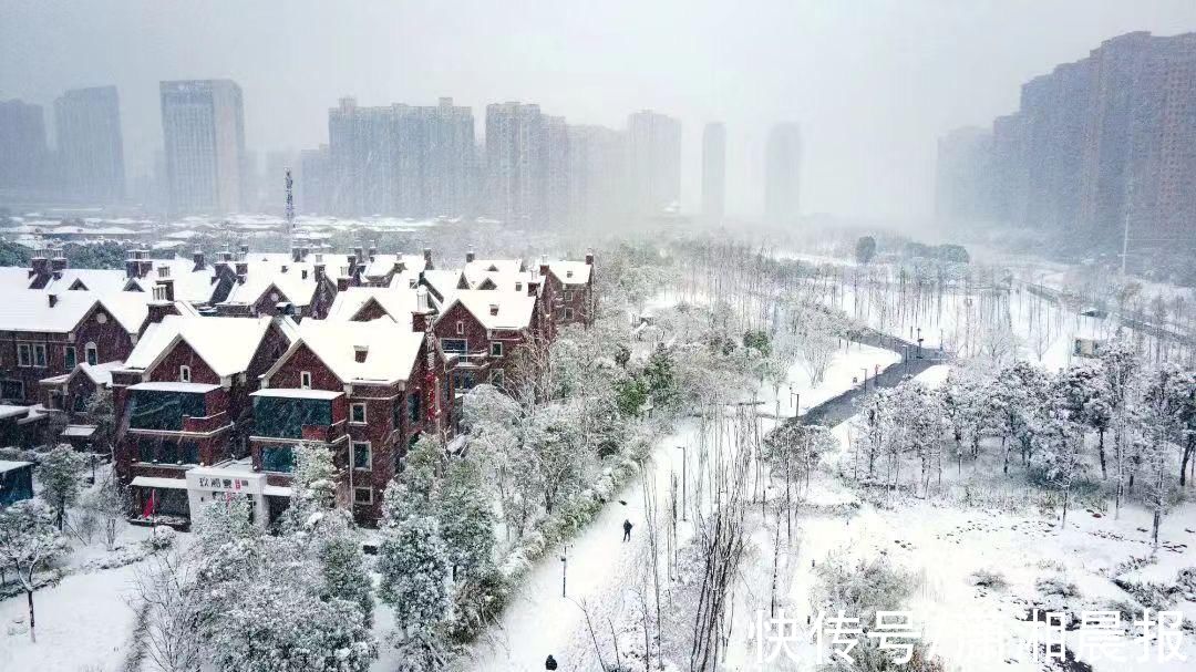 李蕾|组图｜雨花雪景还没赏够？看这里！惊艳nice“绝绝子”