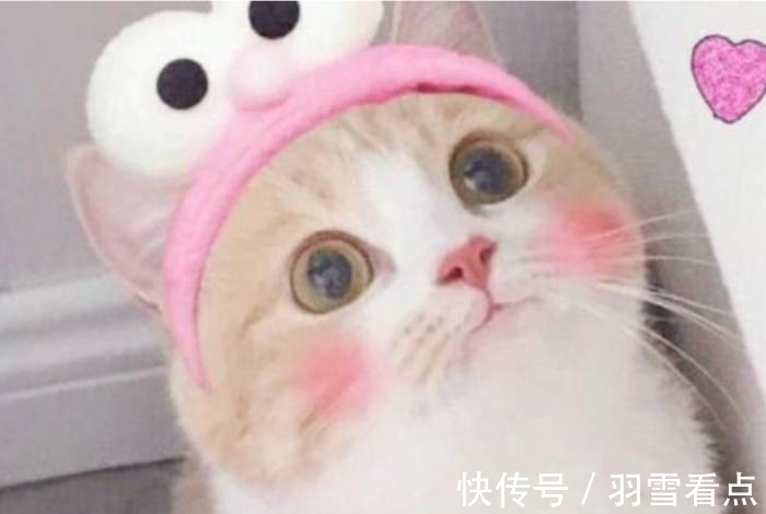 肚子|世界最霸道的“婴儿”,在腹中待了61年,被发现时妈妈已91岁