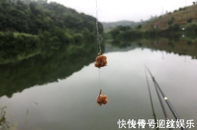 拉饵|难怪你的饵团一拉就散，原来是少了这一步！新手开拉饵须知