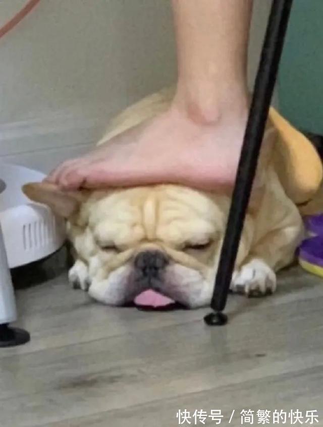 |有被冒犯到 冷段子1770