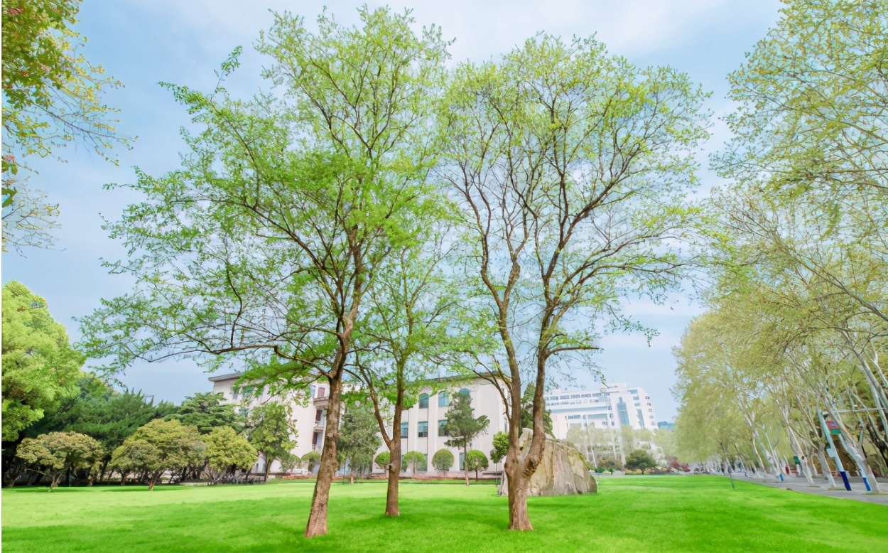 湖北省211大学排名，7所高校特色鲜明，第一名不是武汉大学