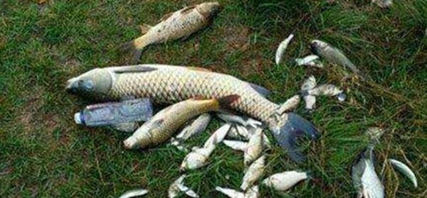 钓鱼技巧:鲜为人知的钓鱼冷知识,看似没用,其实影响了渔获量