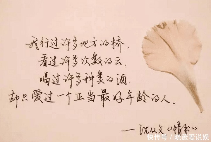 文豪|幼年逃学,打架闹事,长大却成一代文豪,沈从文:从军生涯救了我