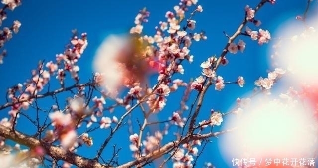 天涯!李商隐一首经典五绝《天涯》,无一字不唯美,无一字不伤悲