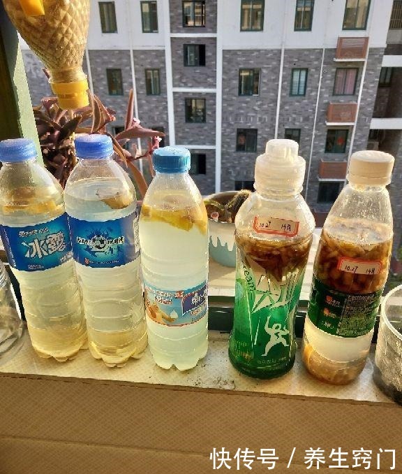 绿萝喂口它,像是吃了激素,蹭蹭长叶子,摁都摁不住!