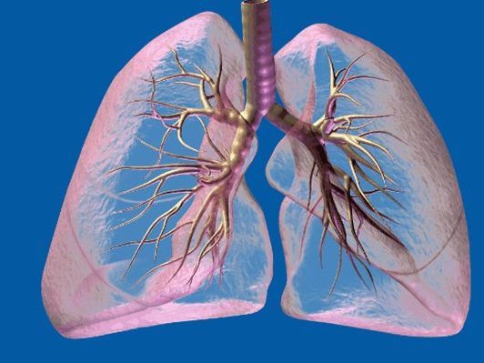  肝脏|50岁后，身体这3处越“干净”，寿命越长，占一个也值得恭喜！