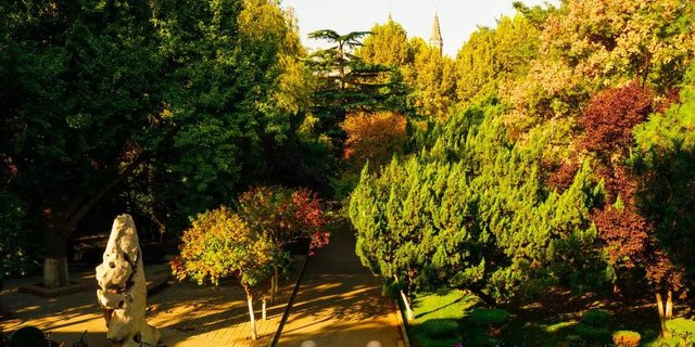 带你走进山东大学，在那里学习是什么样的体验