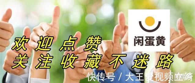 igbt|全民造车时代,中国企业没理由输