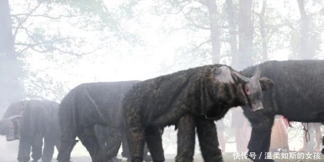 开心|说非遗之湖湘篇—他们被扮成牛供人观赏,却还很开心