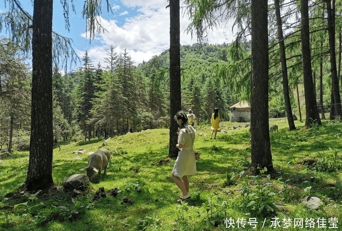 蒙顶山|中国一座“最爱哭泣”的城市，夏天只有23度，适合假日避暑游