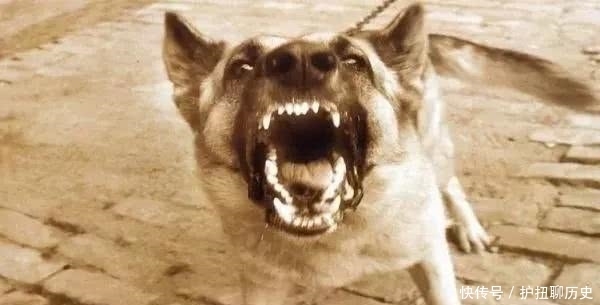 时期|中国历史上最尴尬的五大姓氏:不管叫啥名,感觉都像在骂人!