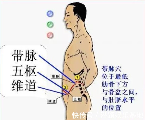 胆汁|一套从头练到脚的经络操,彻底打通经络百病消!比三伏贴还管用!