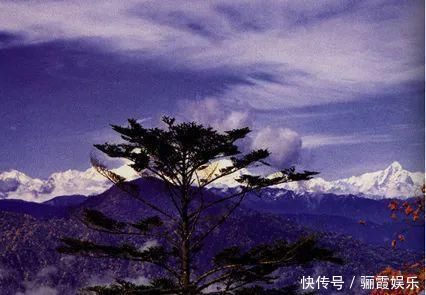 原来这三个意境无比美丽的成语来自佛教,