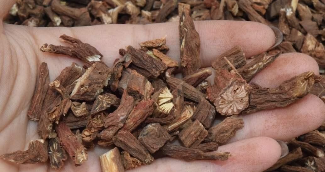 功效|黄芪和它是“天生一对”,搭配饮用,补气养血、排出肝毒