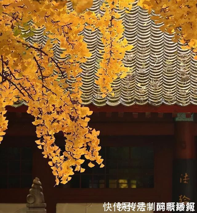 释文珦#诗僧笔下的秋天,不仅有最美的秋色,还有浓浓禅意,令人回味无穷