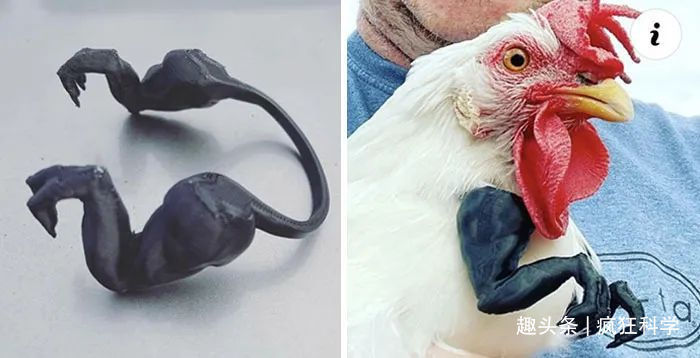 高跟鞋&一组脑洞大开的奇葩设计,最后那只尺寸巨大的袜子是给谁穿的