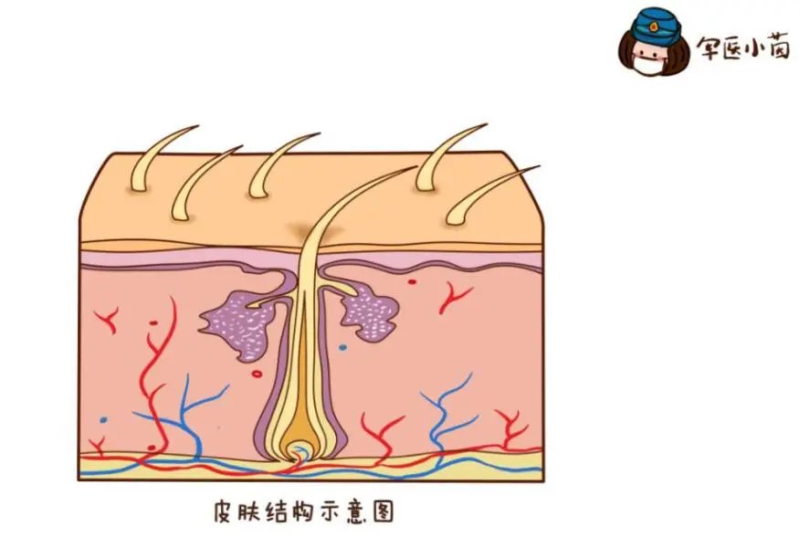 今日小暑|军医小茵 | 急性期