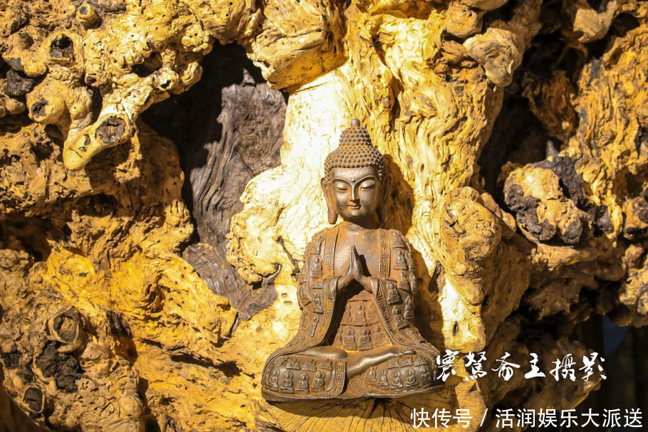 太行山下的遍地“崖柏”，不知到底有多少是真正出自太行山的呢