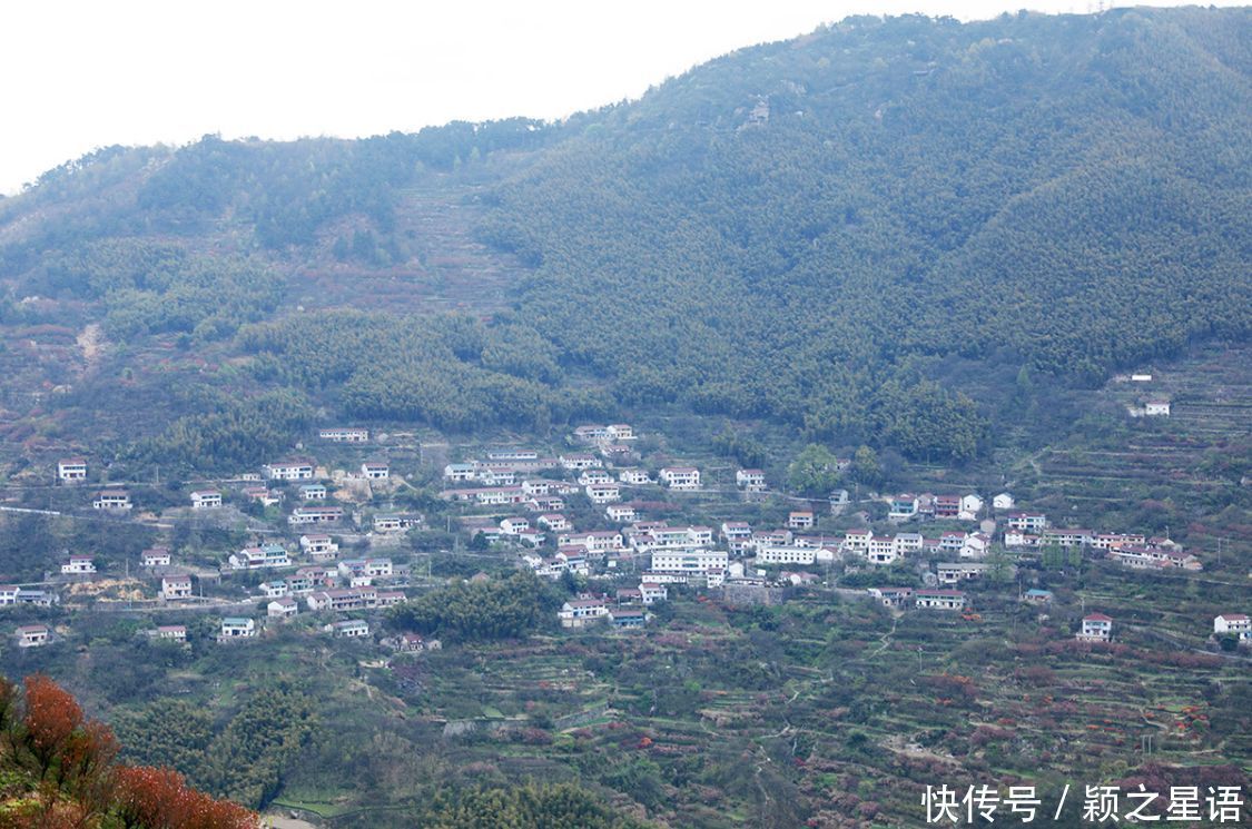 高山村落，樱花盛开，天空之境，天上人间