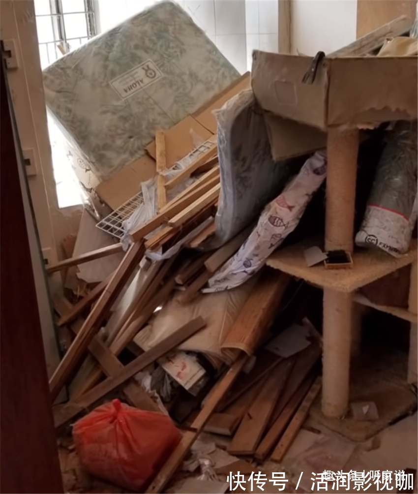 公屋|香港50岁丁克夫妇，百万豪装41㎡小家，33年老房越住越舒服