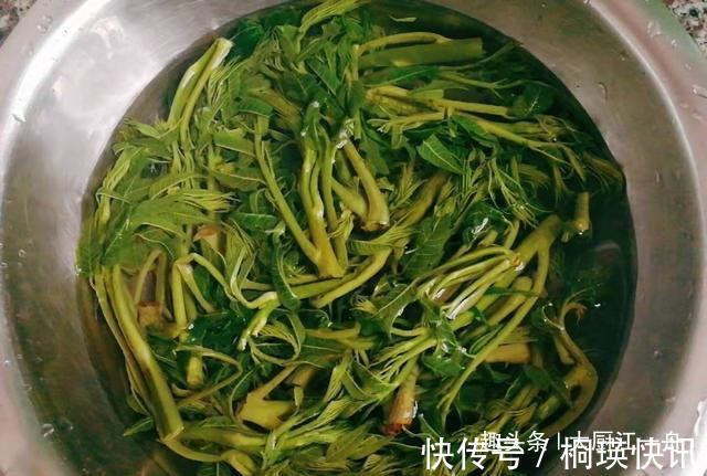 这才是腌香椿的正确做法！香椿颜色翠绿，随吃随取，放一年不会坏