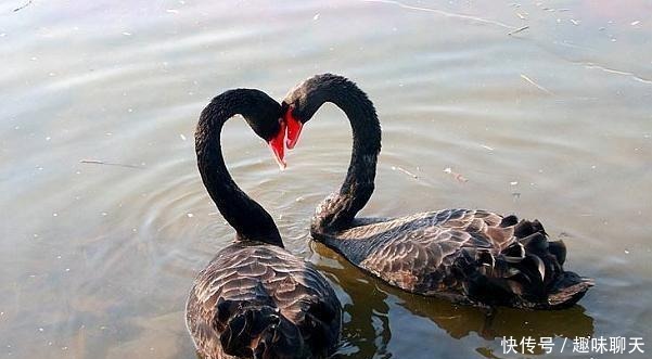 内向的人|最终获得成功的人,都是被人忽视的“内向”孤独者