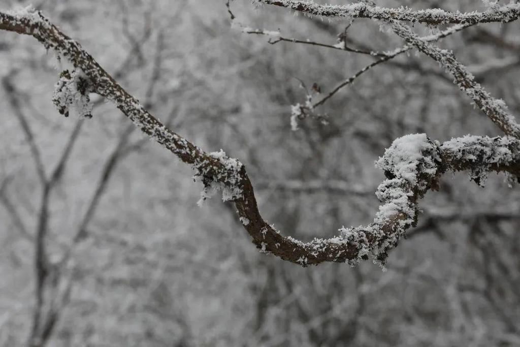 地方|汶川下雪了！这些地方，你最想去哪个？