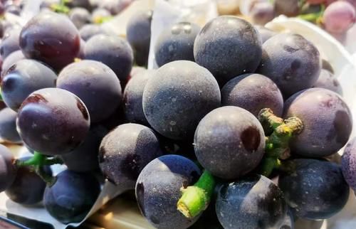 葡萄|明日处暑，记得“3汤4果5菜”，应季而食，润肺解秋燥，安稳过秋