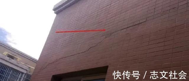 买卖关系|男子买套房,装修公司一看直接吓跑,开发商房子没倒,不要找我