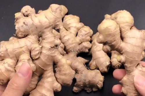 经常买生姜的要留意,看到4种生姜扭头就走,学会受用一生!