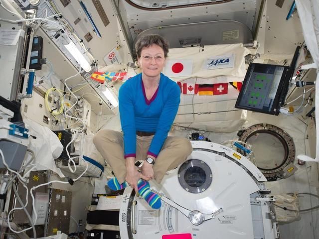 价值15亿马桶,特别为女性改造,为何一年里使用者不超20人