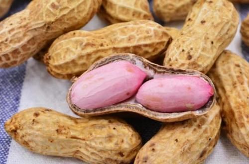 纤维蛋白|花生和此物搭配吃,胜过“阿司匹林”,敞开吃,或远离血栓高血压