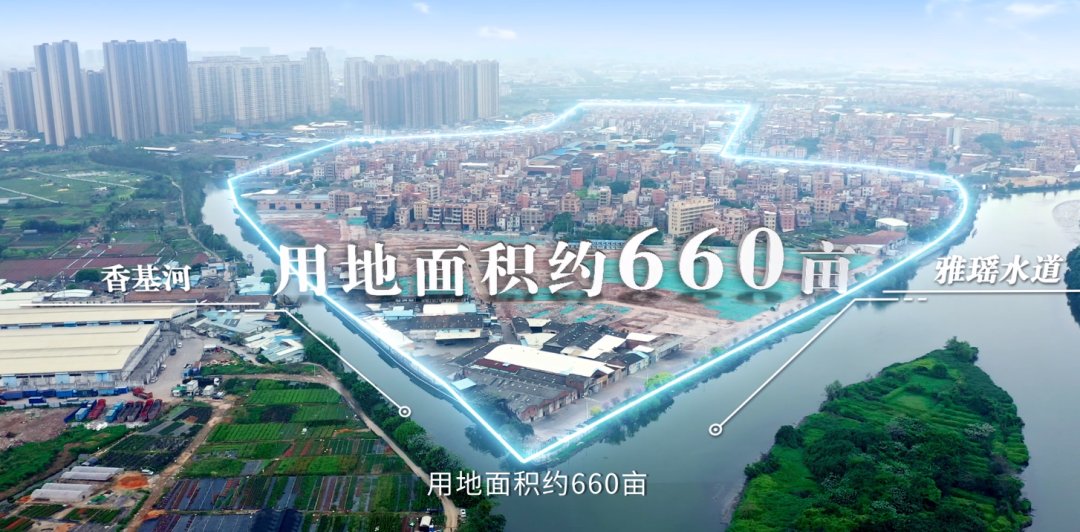 政府主导、定向50强国企！大沥雅瑶660亩村改开招前期服务