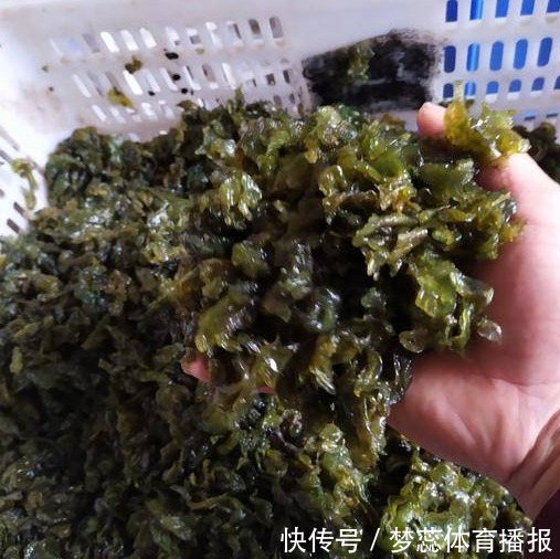 生长发育|这菜看起来很脏，实则营养很多，含钙量高，孩子多吃猛长个！