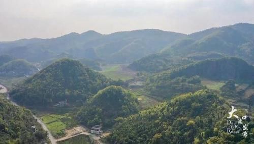 看，这漫山遍野的油菜花开了！