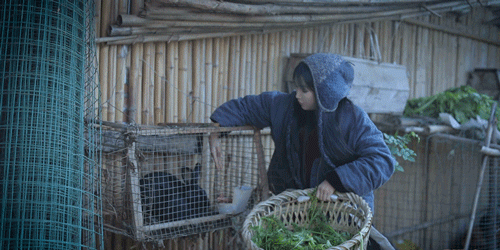 一物一生，吃完萝卜，一生系列就停在这里了吧