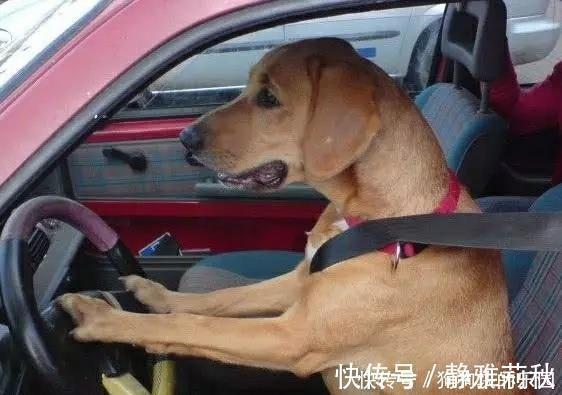 |爆笑段子：那脸上的几道血印子非常醒目，到现在都感觉对不起他