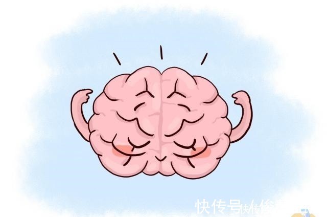 发育|哈佛研究儿童的大脑发育高峰仅有3次,错过将影响孩子一生!