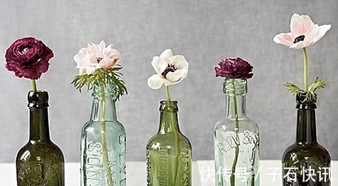 自制|你还在花钱买花盆吗?别买了,自制花盆,比买的好看的多了