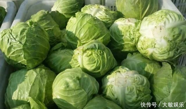 再穷也要给孩子吃这“增高菜”,补钙比牛奶强,多吃体质更强壮